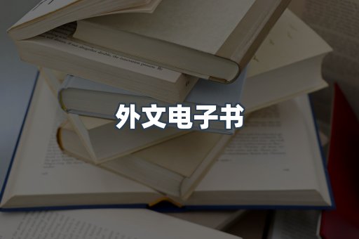 外文电子书